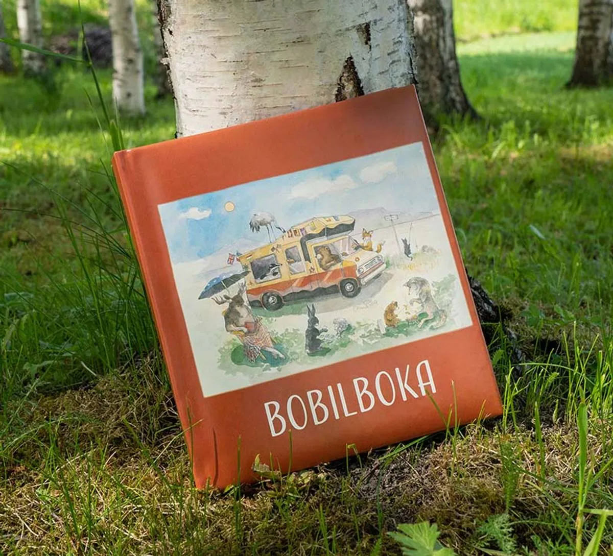 Produktbilde 1